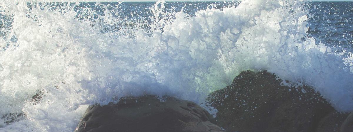 banner2